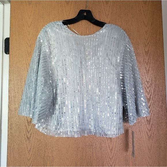 ZARA Silver Mirror Sequin Dolman Sleeve Flowy Top - Picture 3 of 8